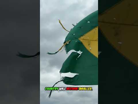 We are heading for a disaster 2026 - Vídeo educacional Evolucao Orbital sobre orientação profissional e carreira